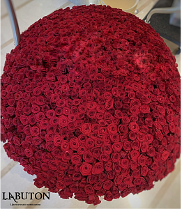 Букет из 501 розы 