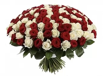 Букет из 151 розы 