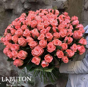 Голландские розы 71 шт (цвет на ваш выбор)